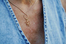 The TN Charm